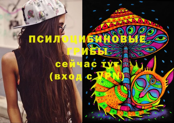 альфа пвп Алзамай
