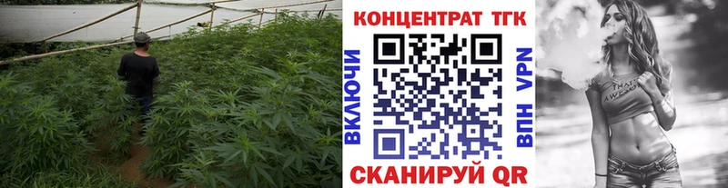 ТГК Wax Глазов