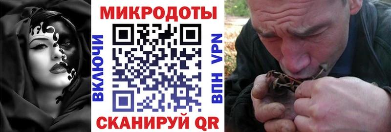 Псилоцибиновые грибы прущие грибы  Глазов 