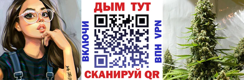 Конопля ГИДРОПОН  где можно купить   Глазов 